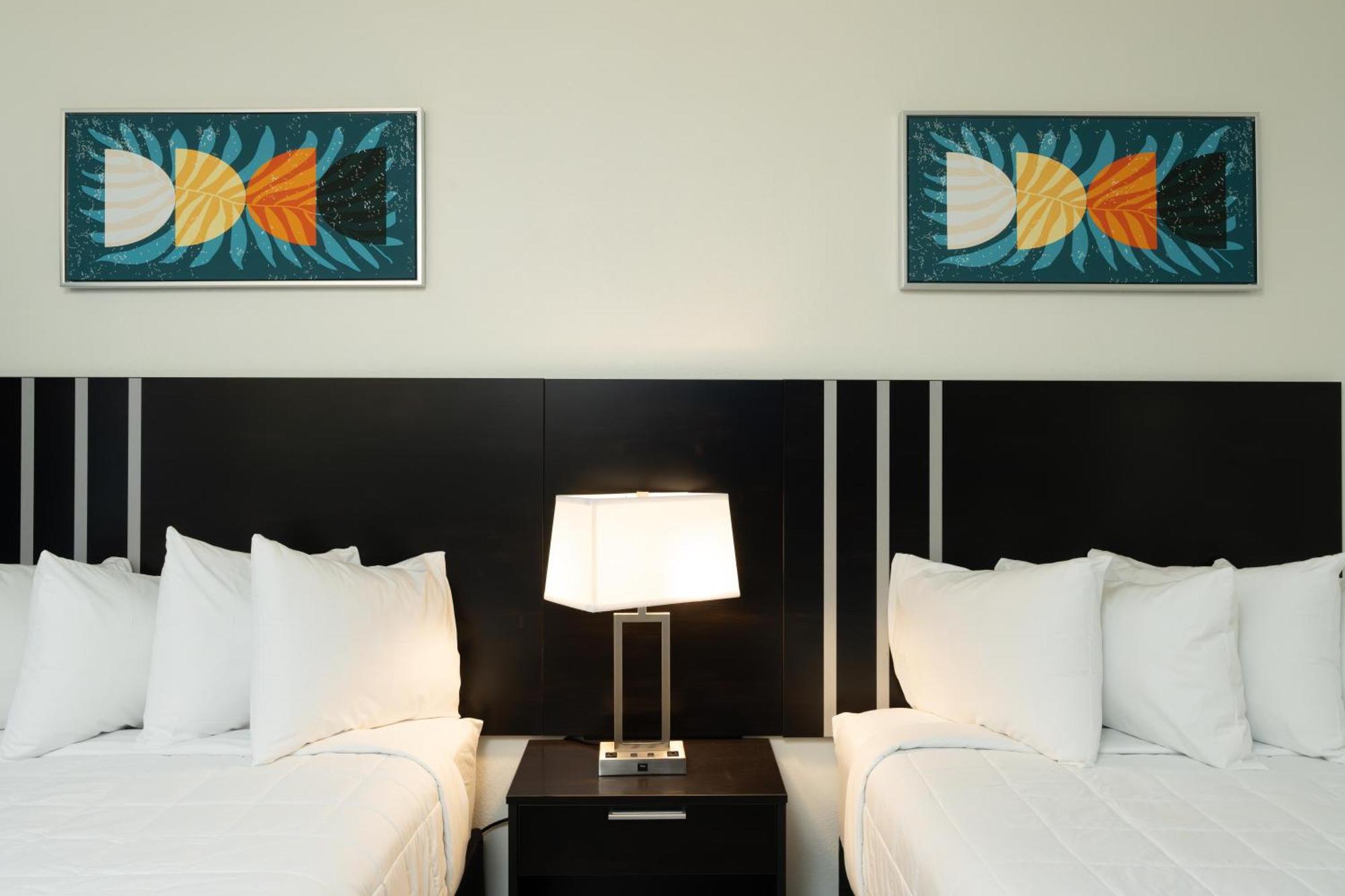 Oasis Bay Suites, Tampa, Busch Gardens, Usf Εξωτερικό φωτογραφία