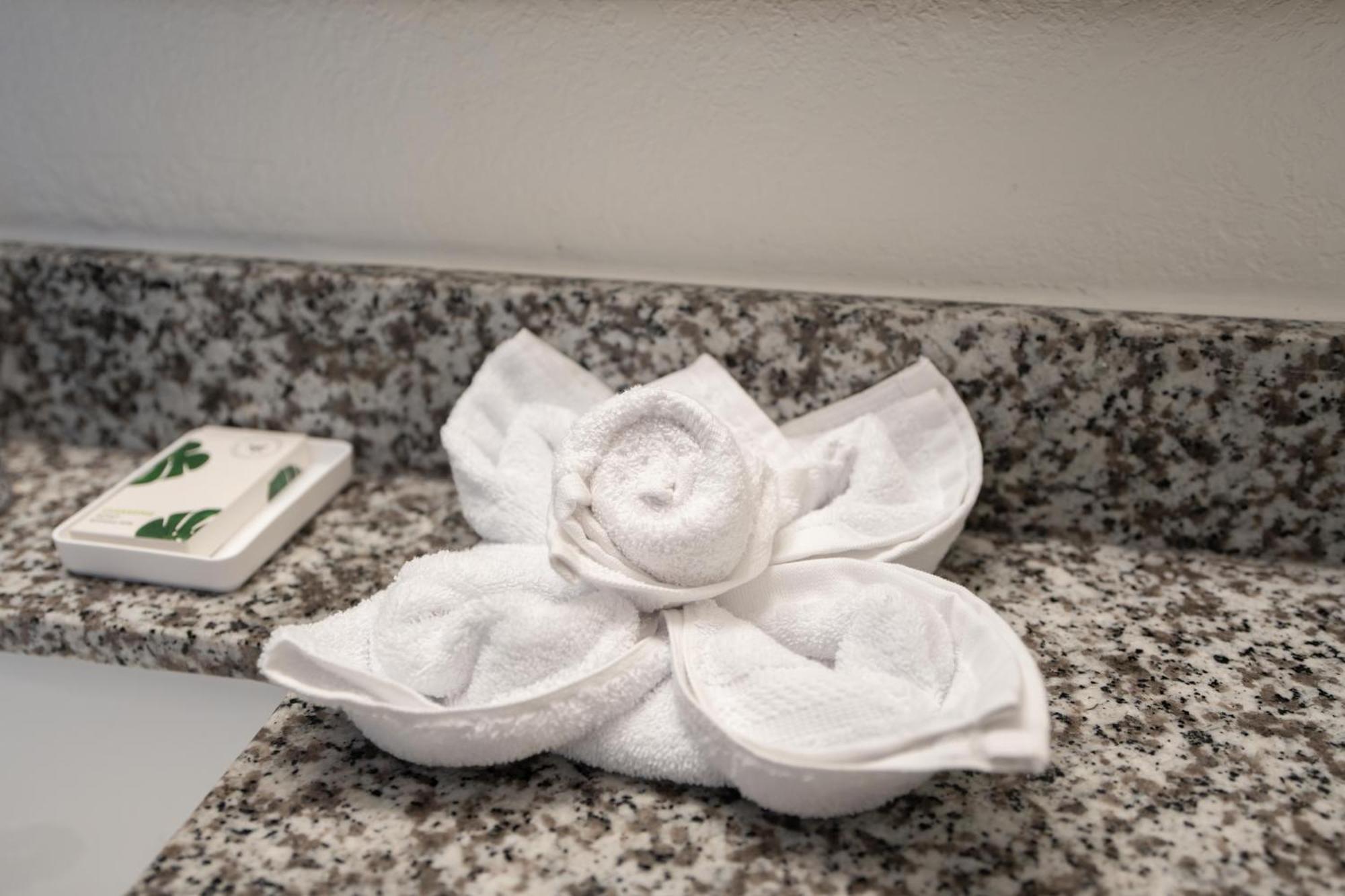 Oasis Bay Suites, Tampa, Busch Gardens, Usf Εξωτερικό φωτογραφία