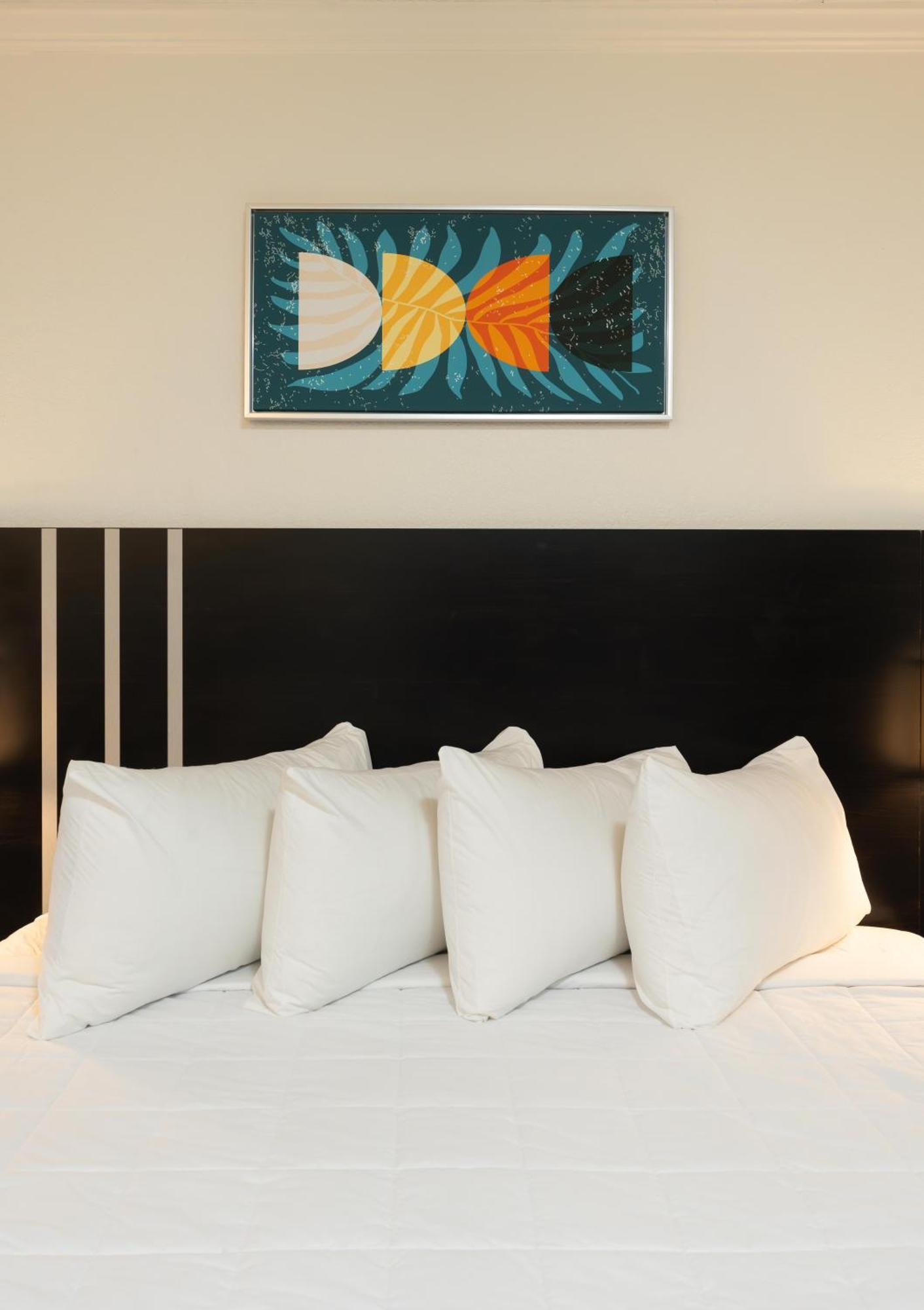 Oasis Bay Suites, Tampa, Busch Gardens, Usf Εξωτερικό φωτογραφία