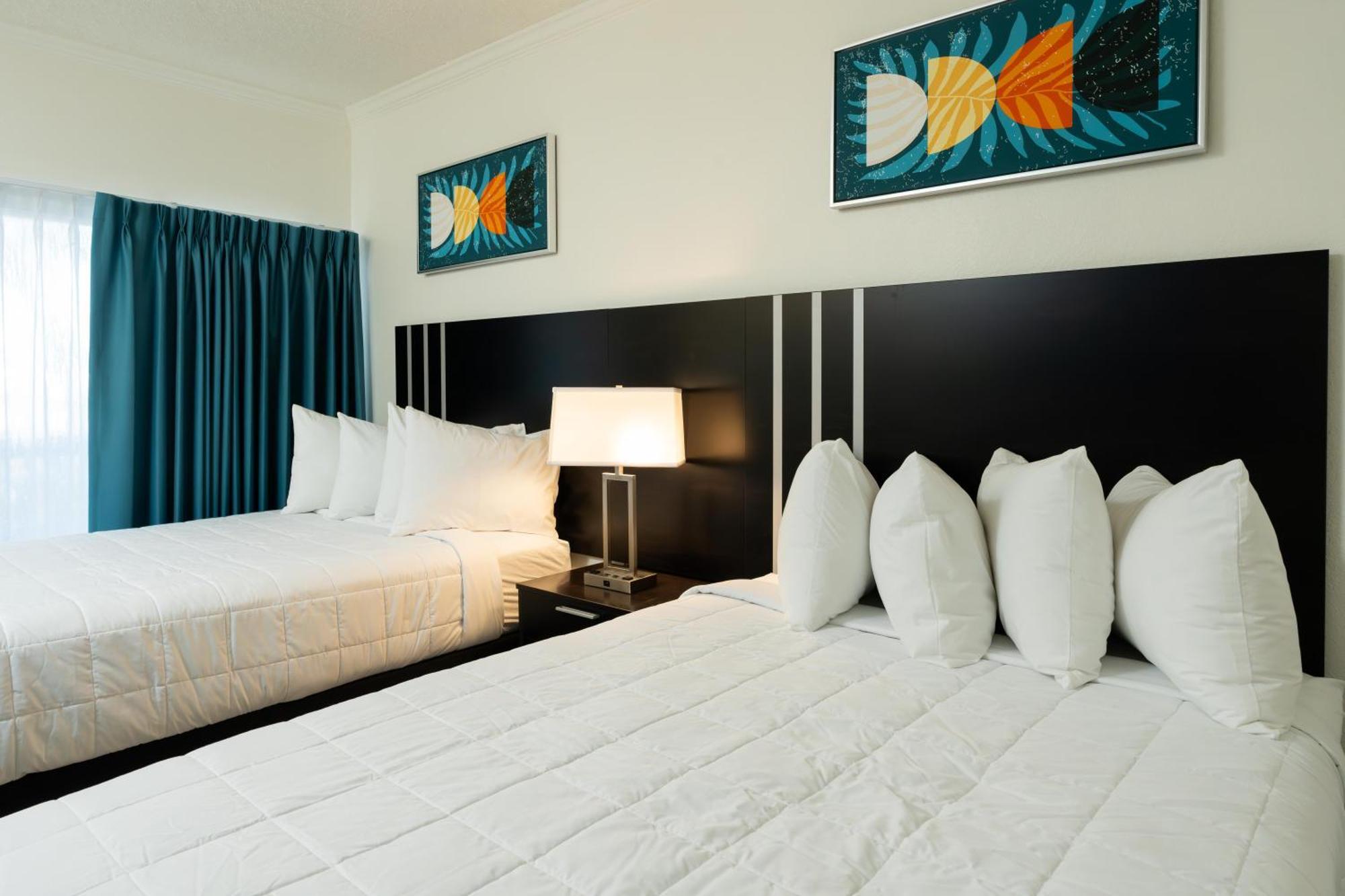Oasis Bay Suites, Tampa, Busch Gardens, Usf Εξωτερικό φωτογραφία