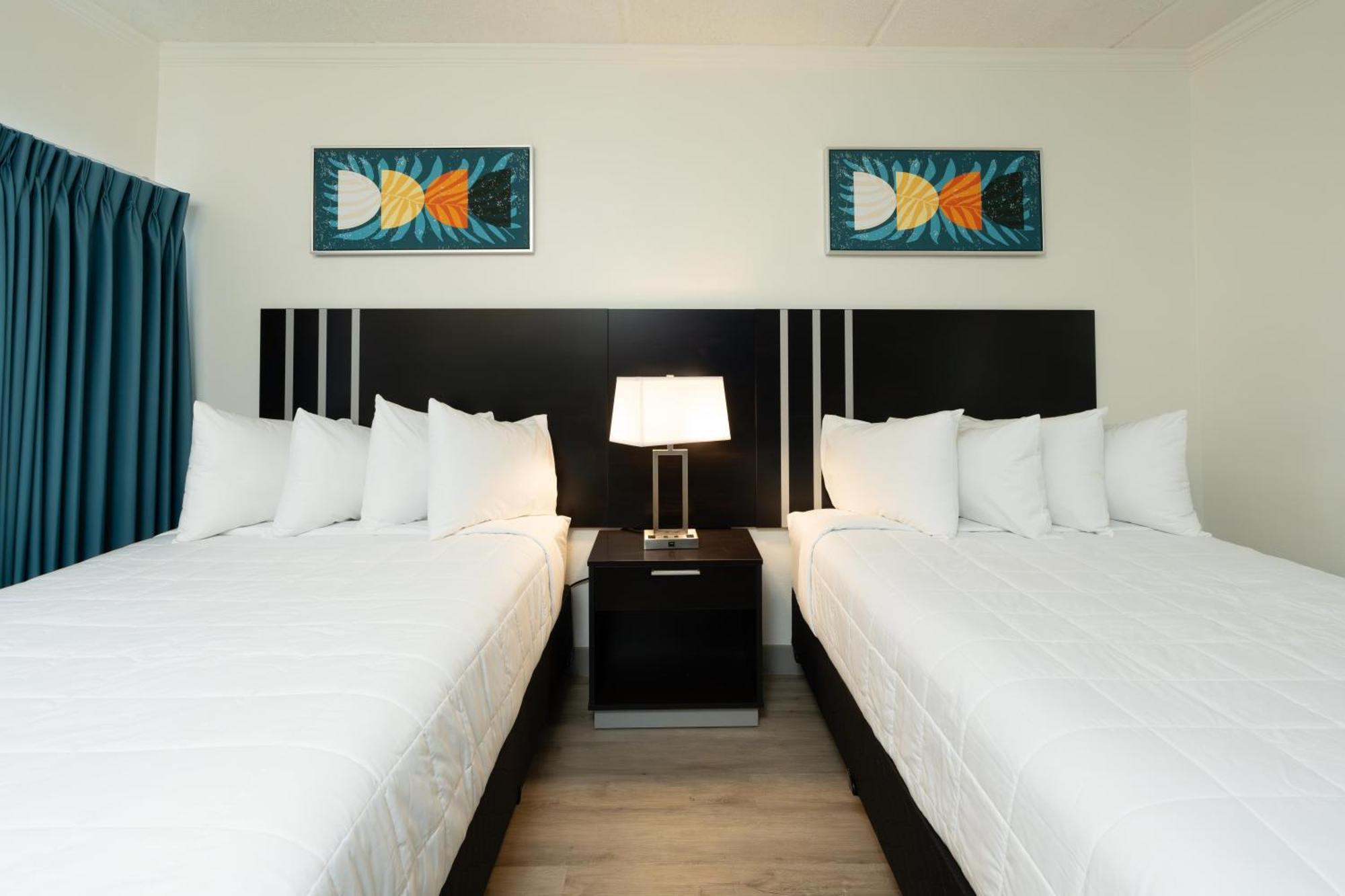 Oasis Bay Suites, Tampa, Busch Gardens, Usf Εξωτερικό φωτογραφία