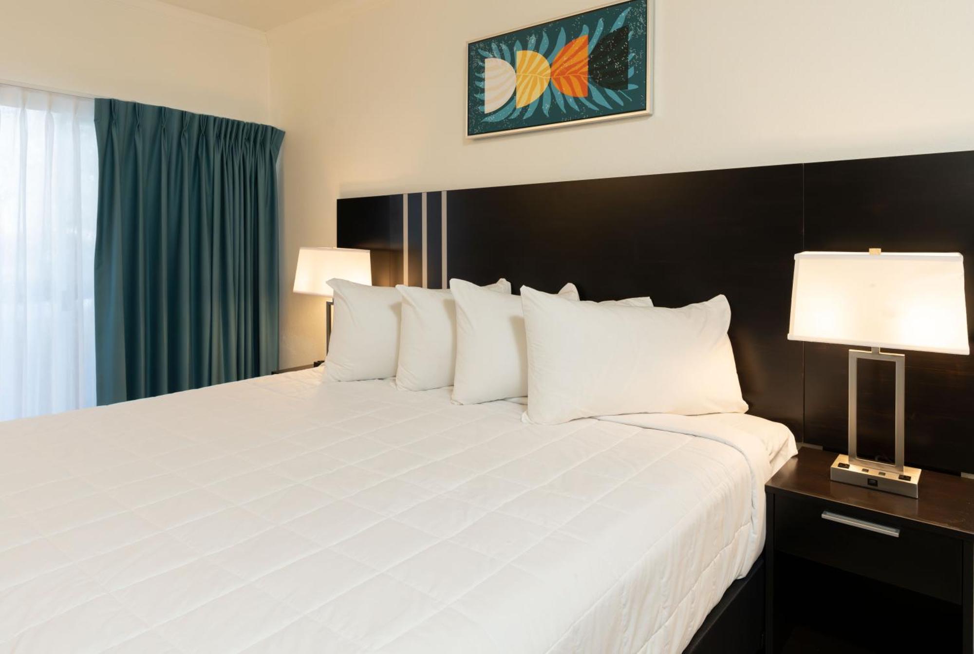Oasis Bay Suites, Tampa, Busch Gardens, Usf Εξωτερικό φωτογραφία